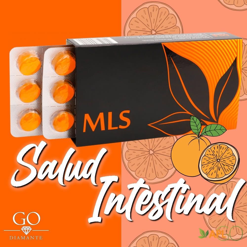 WhatsApp Image 2025-09-25 at 22.52.07 (2)